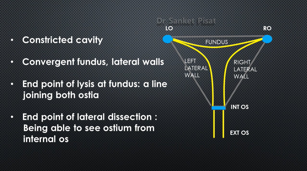 Hysteroscopic Synechiolysis Ashermans Syndrome