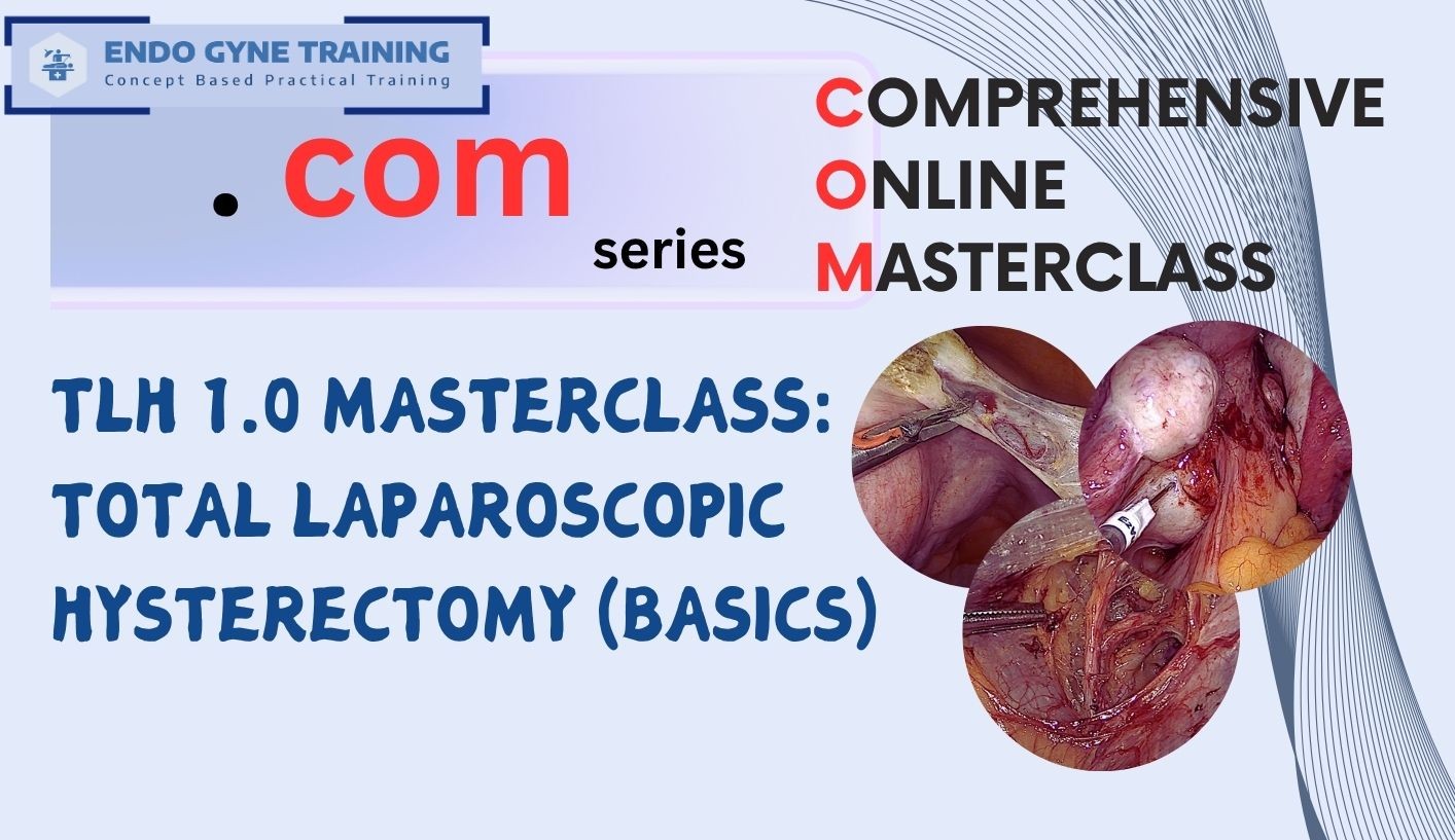 dot COM TLH Masterclass - Part 1 (Basic To Intermediate)